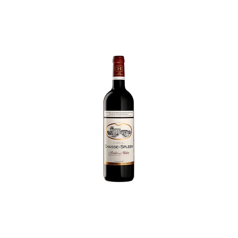 Château Chasse Spleen 2020 - Moulis en médoc