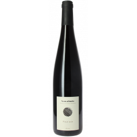 Pinot Noir 2018 Terres d'Etoiles BIO - Domaine Mittnacht