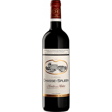 Château Chasse Spleen 2020 - Moulis en médoc