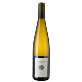 Riesling  Terres d'Etoiles 2023 BIO -  Domaine Christophe Mittnacht